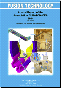 Fusion Technology : Annuel Report of the Association Euratom-CEA. Juin 2005